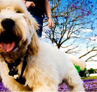 Tuckeroo Park - Find Attractions