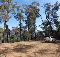 Wadbilliga Road drive - Find Attractions