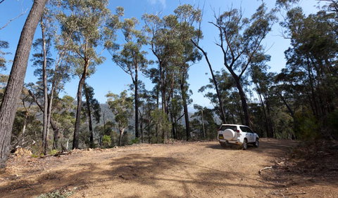 Wadbilliga Road Drive - Find Attractions 0