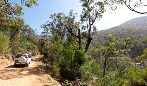 Wadbilliga Road Drive - Find Attractions 1