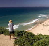 Redhead Beach - Find Attractions