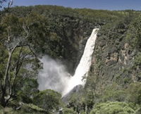 Book Dorrigo Accommodation Vacations Find Attractions Find Attractions