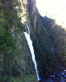 Ellenborough Falls - Find Attractions 0