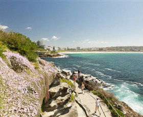 Bondi To Coogee Coastal Walk - Find Attractions 3