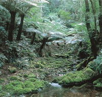 The Corn Trail Walk - Find Attractions