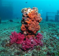 HMAS Brisbane Dive Site - Find Attractions