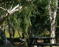 Book Casino Accommodation Vacations Find Attractions Find Attractions