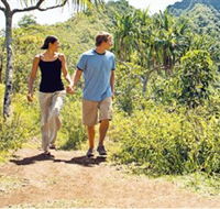 Hoddles Track - Find Attractions