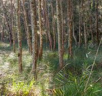 Anabranch loop track - Find Attractions