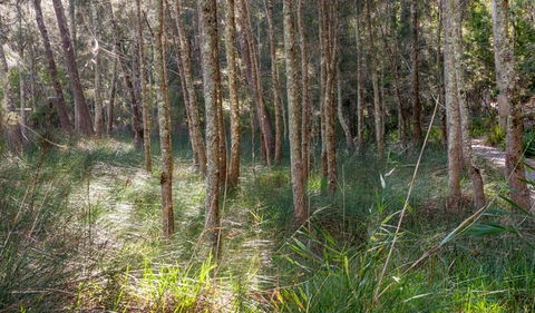 Anabranch Loop Track - Find Attractions 0