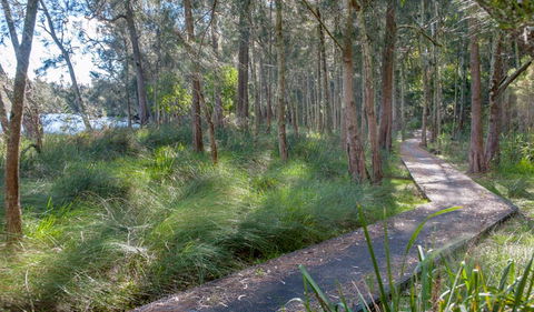 Anabranch Loop Track - Find Attractions 3