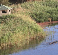 Spring Creek Bird Hide - Find Attractions