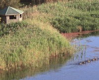Spring Creek Bird Hide