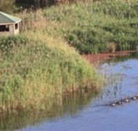 Spring Creek Wetlands Walk - Find Attractions