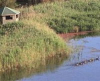 Spring Creek Wetlands Walk