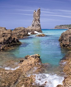 Cathedral Rocks Kiama Downs