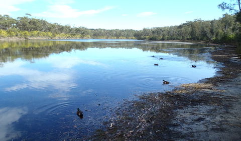 Conjola National Park - Find Attractions 1