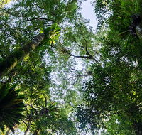 Botanic walk - Find Attractions