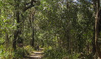 Sand track walk south
