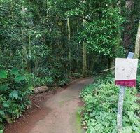 Walk with the Birds boardwalk - Find Attractions