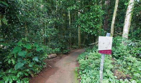Walk With The Birds Boardwalk - Find Attractions 0