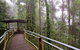 Walk With The Birds Boardwalk - thumb 3