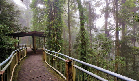 Walk With The Birds Boardwalk - Find Attractions 3