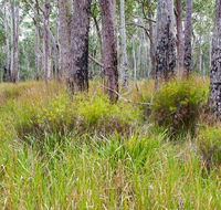 Narrawallee Inlet walking track - Find Attractions