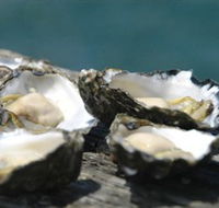 Jim Wilds Oyster Service - Find Attractions