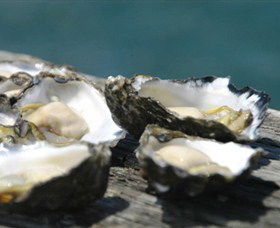 Jim Wilds Oyster Service - Find Attractions 0