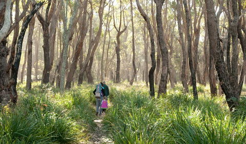 Nerindillah Lagoon Walking Track - Find Attractions 3