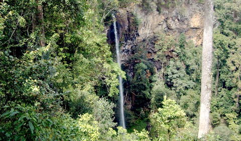 Boorganna Nature Reserve - Find Attractions 2