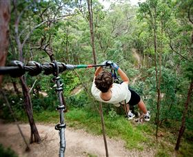 TreeTop Challenge North Tamborine