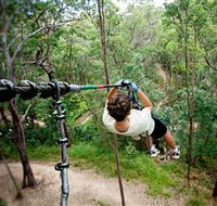 TreeTop Challenge - Find Attractions