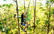 TreeTop Challenge - thumb 3
