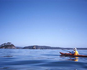 Kayaking Batemans Bay - Find Attractions 0