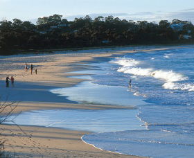 Mollymook Beach - Find Attractions 1