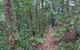 Blackbutt Walking Track - thumb 0