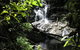 Blackbutt Walking Track - thumb 2