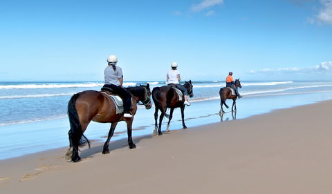 Worimi National Park - Find Attractions 1