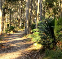 Square Head track 2 - Find Attractions