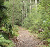 Lake walking track - Find Attractions