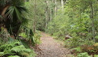 Book East Lynne Accommodation Vacations Find Attractions Find Attractions