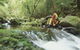 Lower Ballanjui Falls - thumb 0