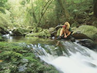 Lower Ballanjui Falls