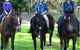 Kings Creek Saddle Club - thumb 0