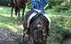 Kings Creek Saddle Club - thumb 1
