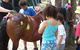 Kings Creek Saddle Club - thumb 3