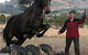 Kings Creek Saddle Club - thumb 5