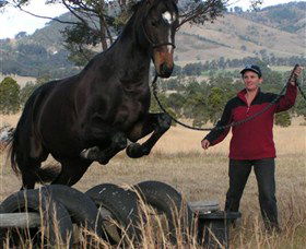 Kings Creek Saddle Club - Find Attractions 5